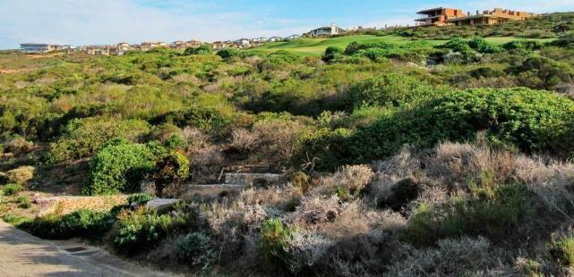 0 Bedroom Property for Sale in Moquini Coastal Estate Western Cape